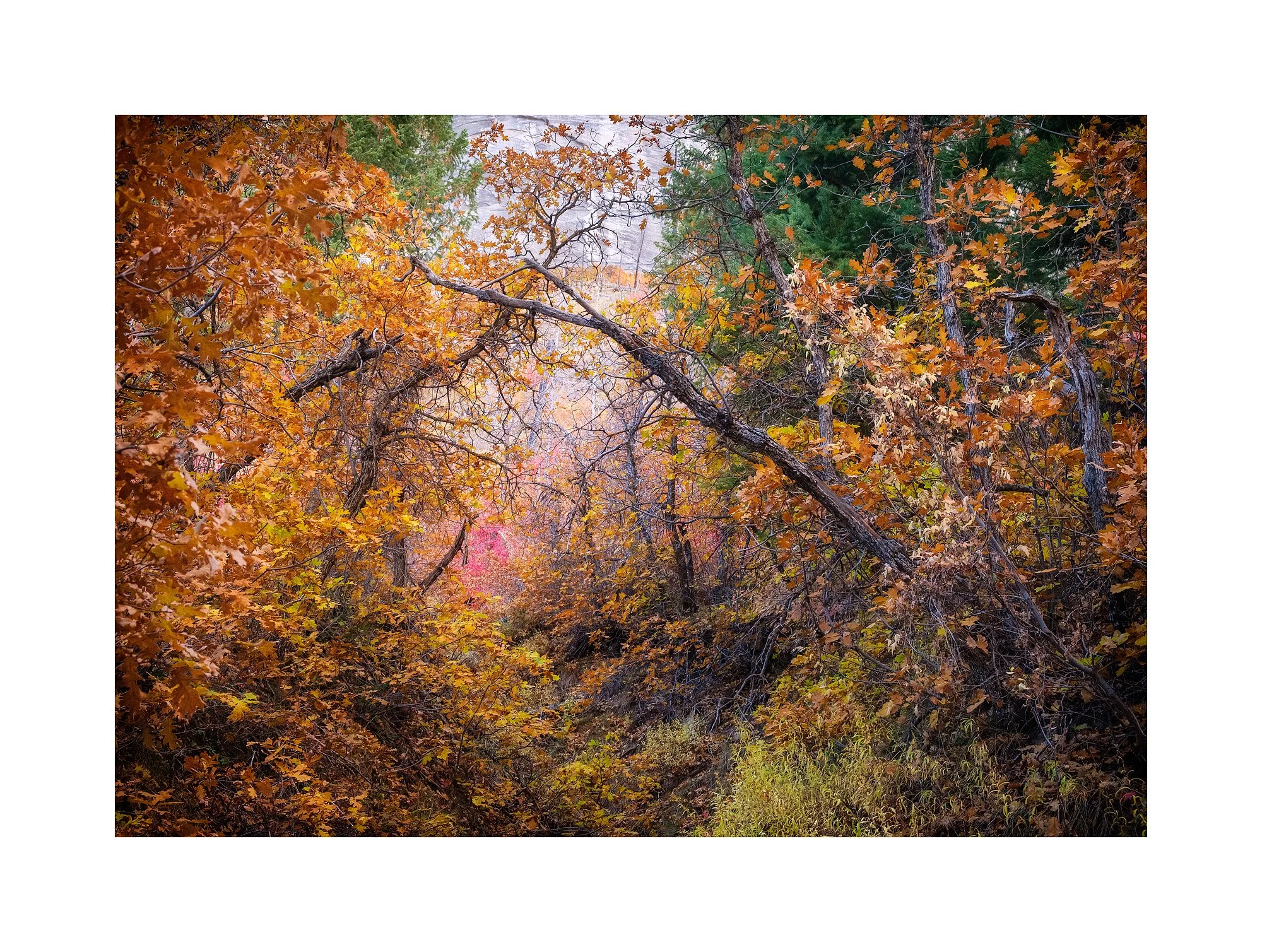 17101303_FujiXT2_IXacr_webglow.jpg