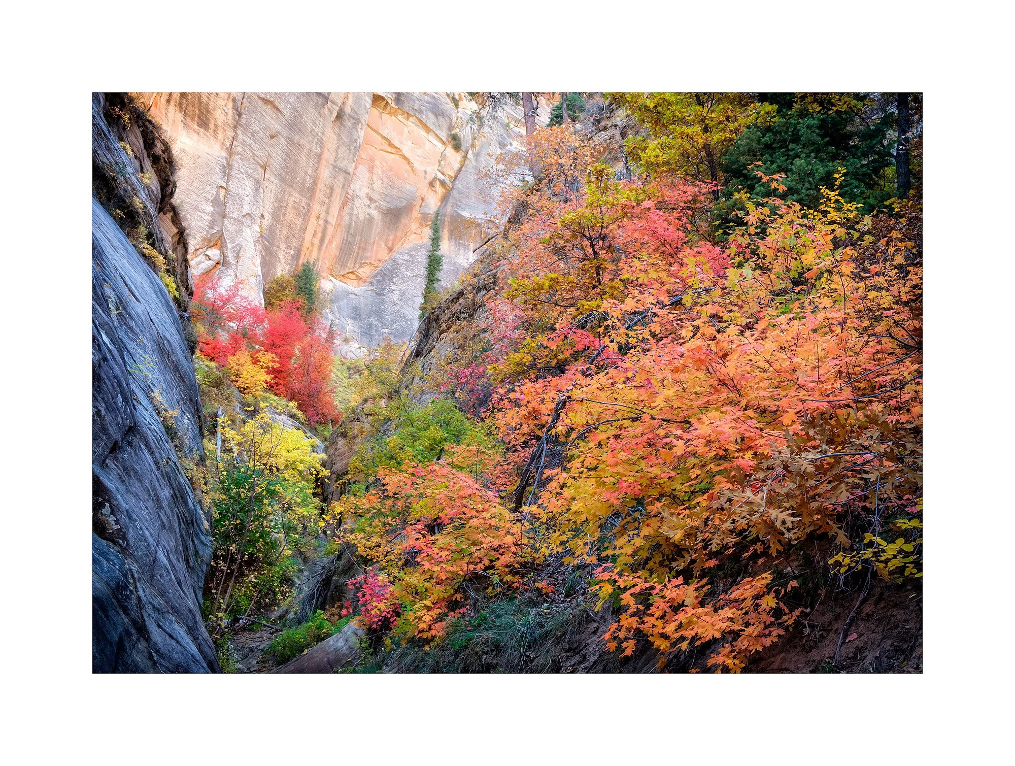 17101290_FujiXT2_IXacr_webglow.jpg