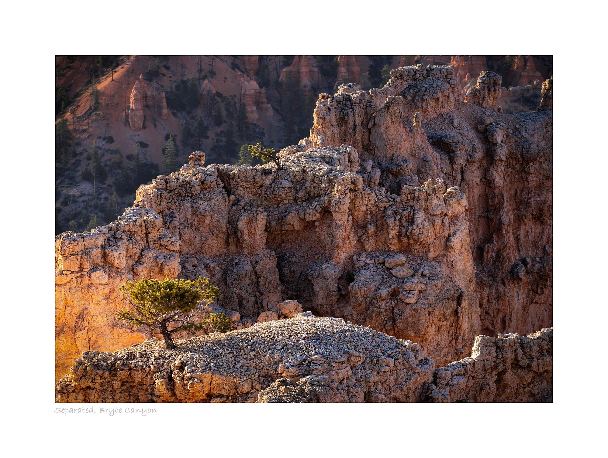 22054292_SonyA73_Raw_Edit.jpg