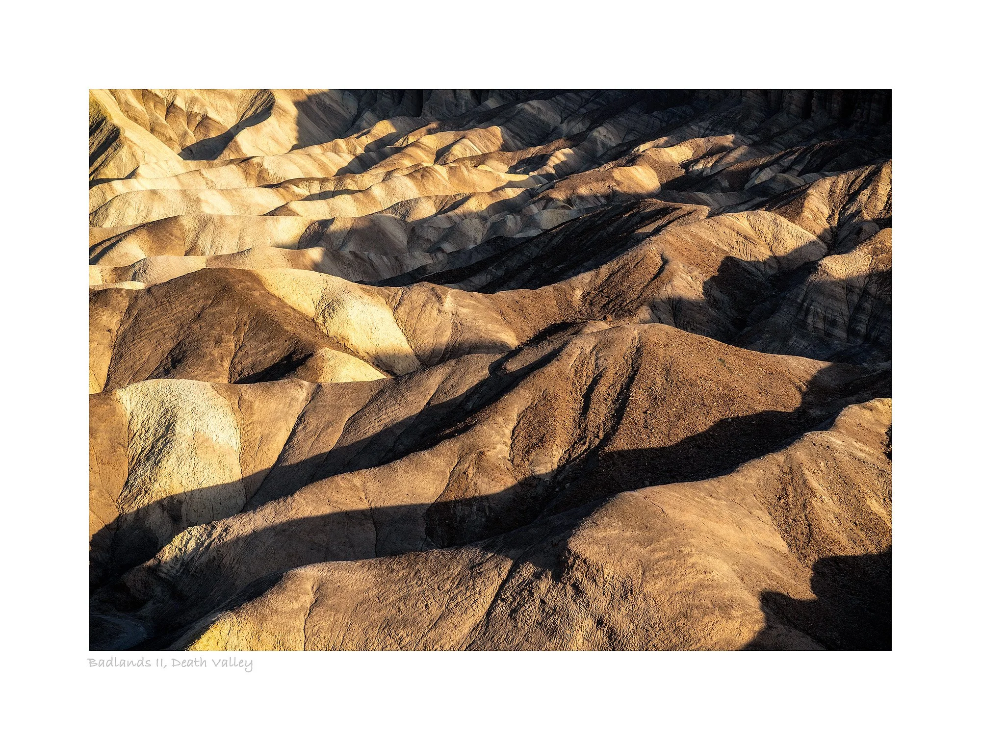 22054431_SonyA73_Raw_Edit.jpg