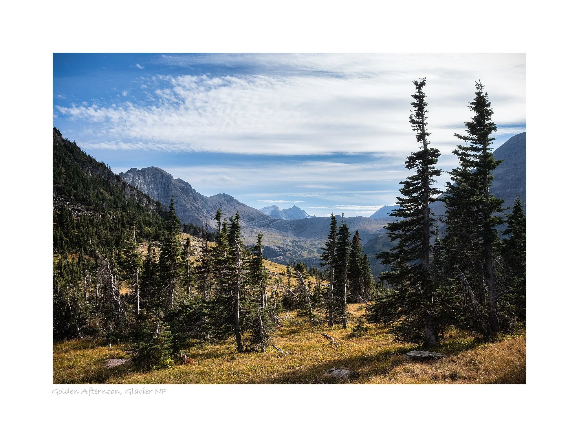 23090334_FujiX100V_Raw_Edit.jpg