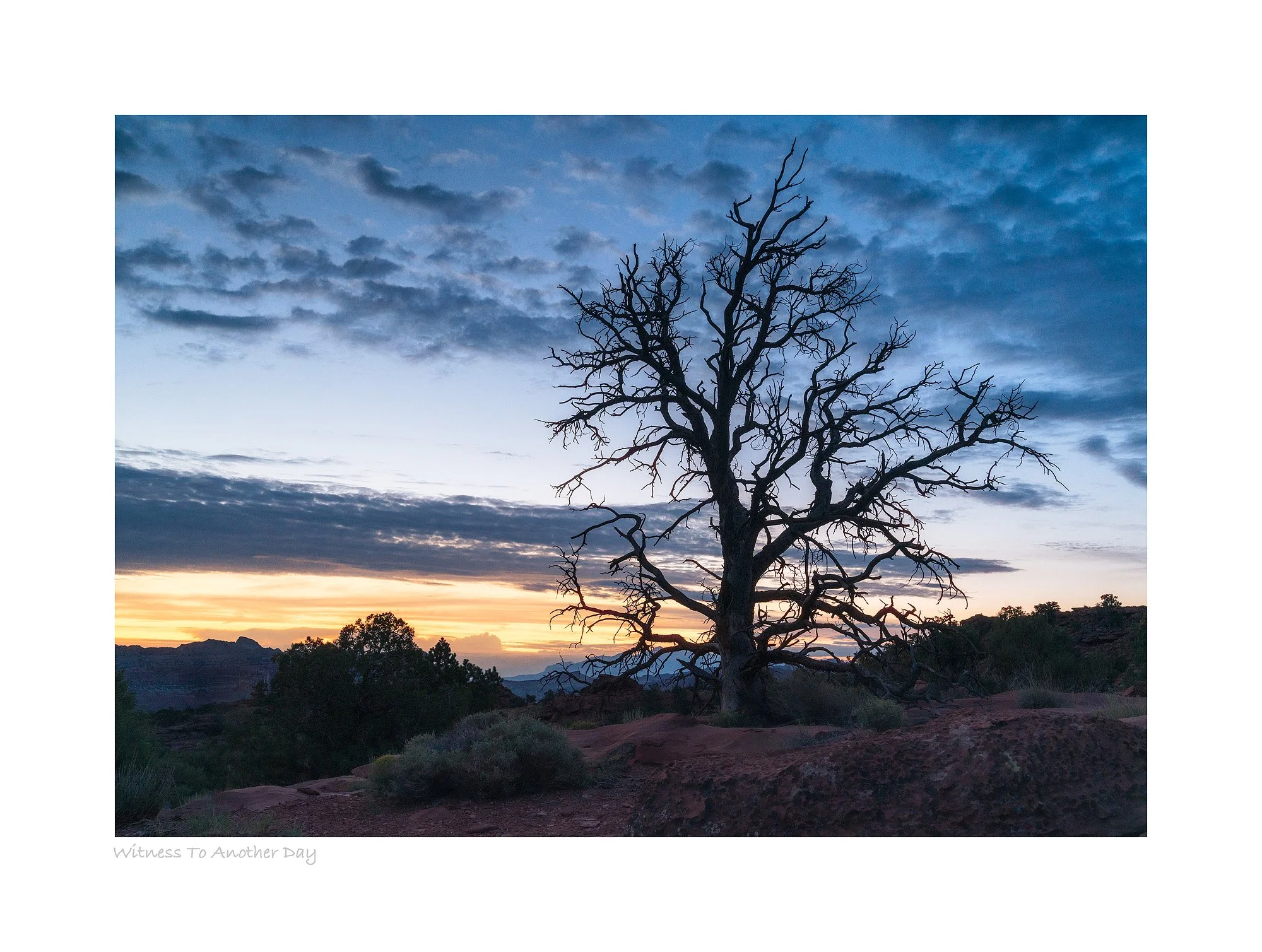 21093731_SonyA7R3_Raw_Edit.jpg