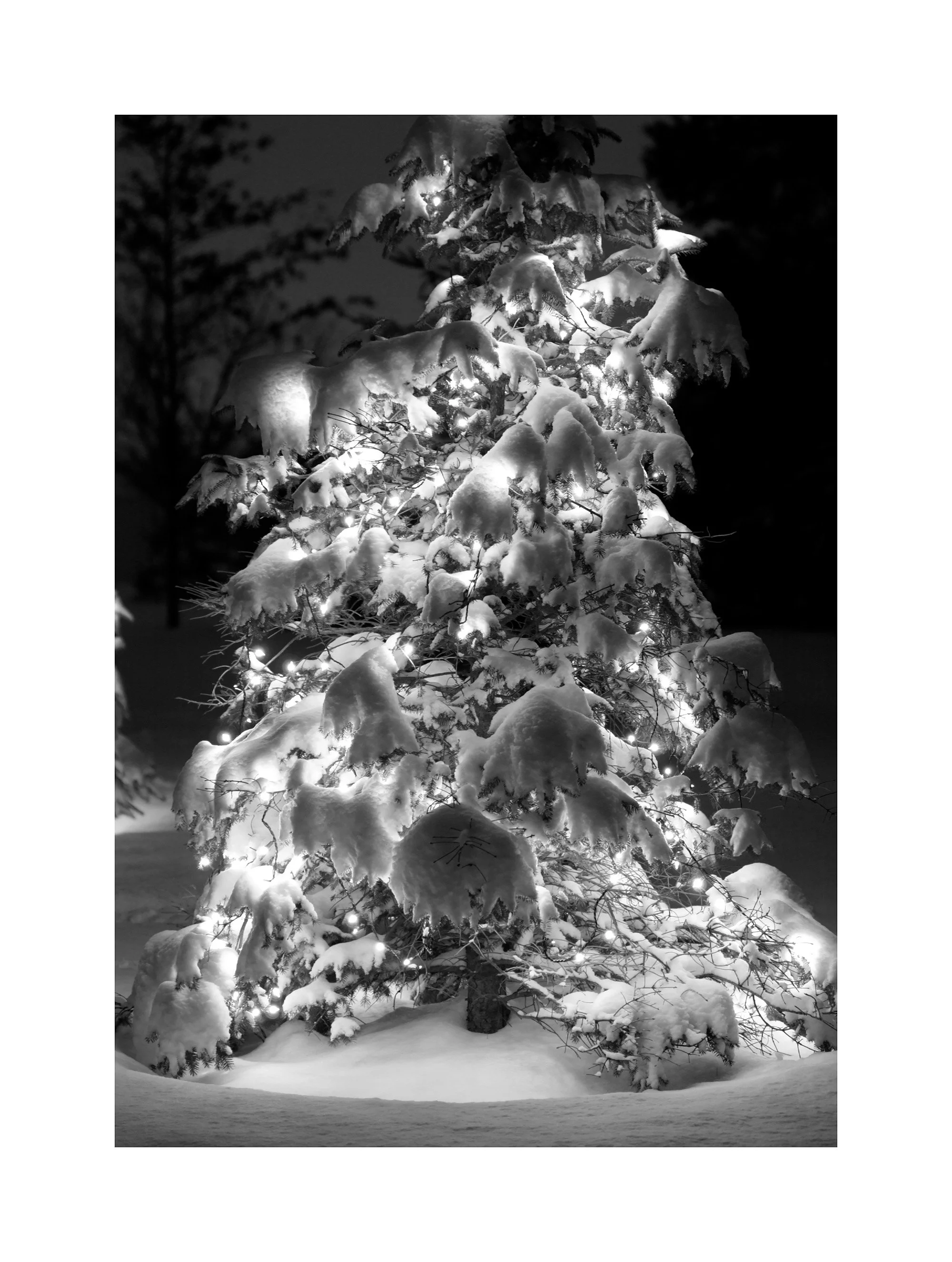 02122245_b&w.jpg