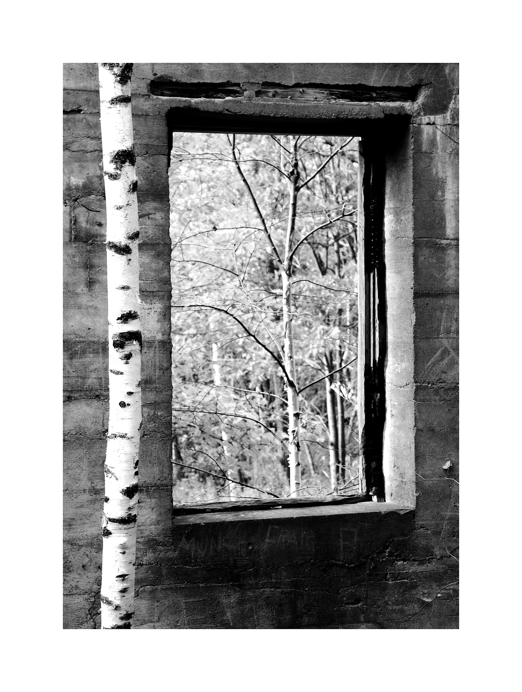03104054_b&w.jpg