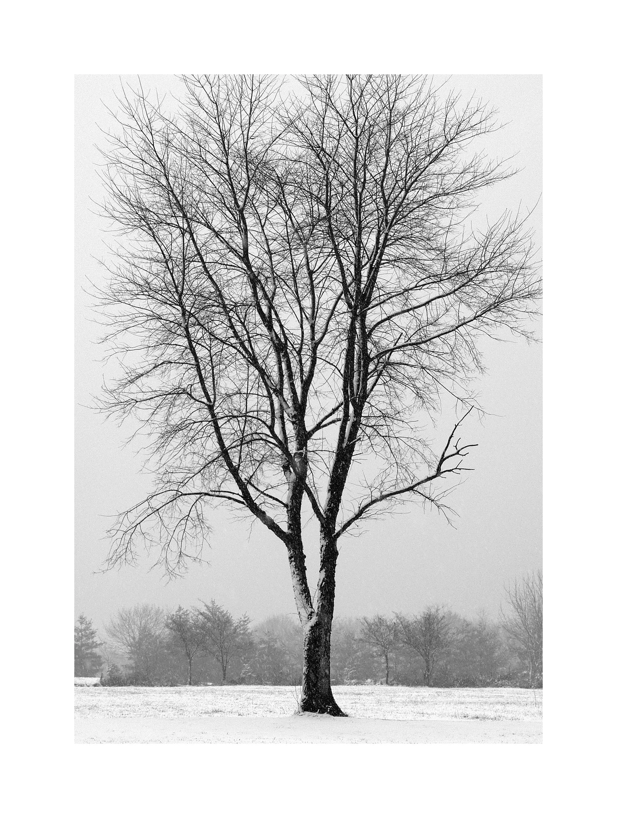 02012211_b&w.jpg