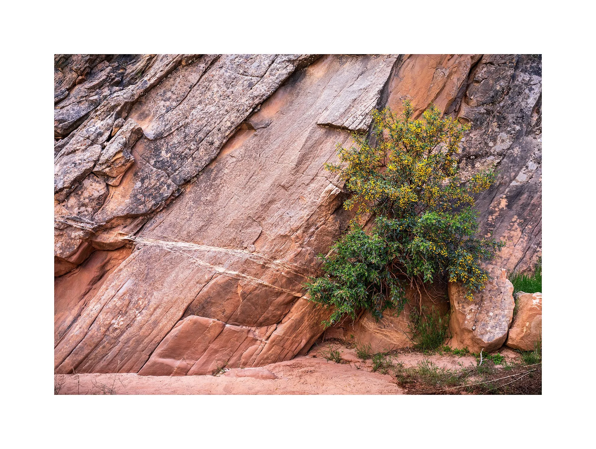 24051470_SonyA7R5_Raw_Edit.jpg