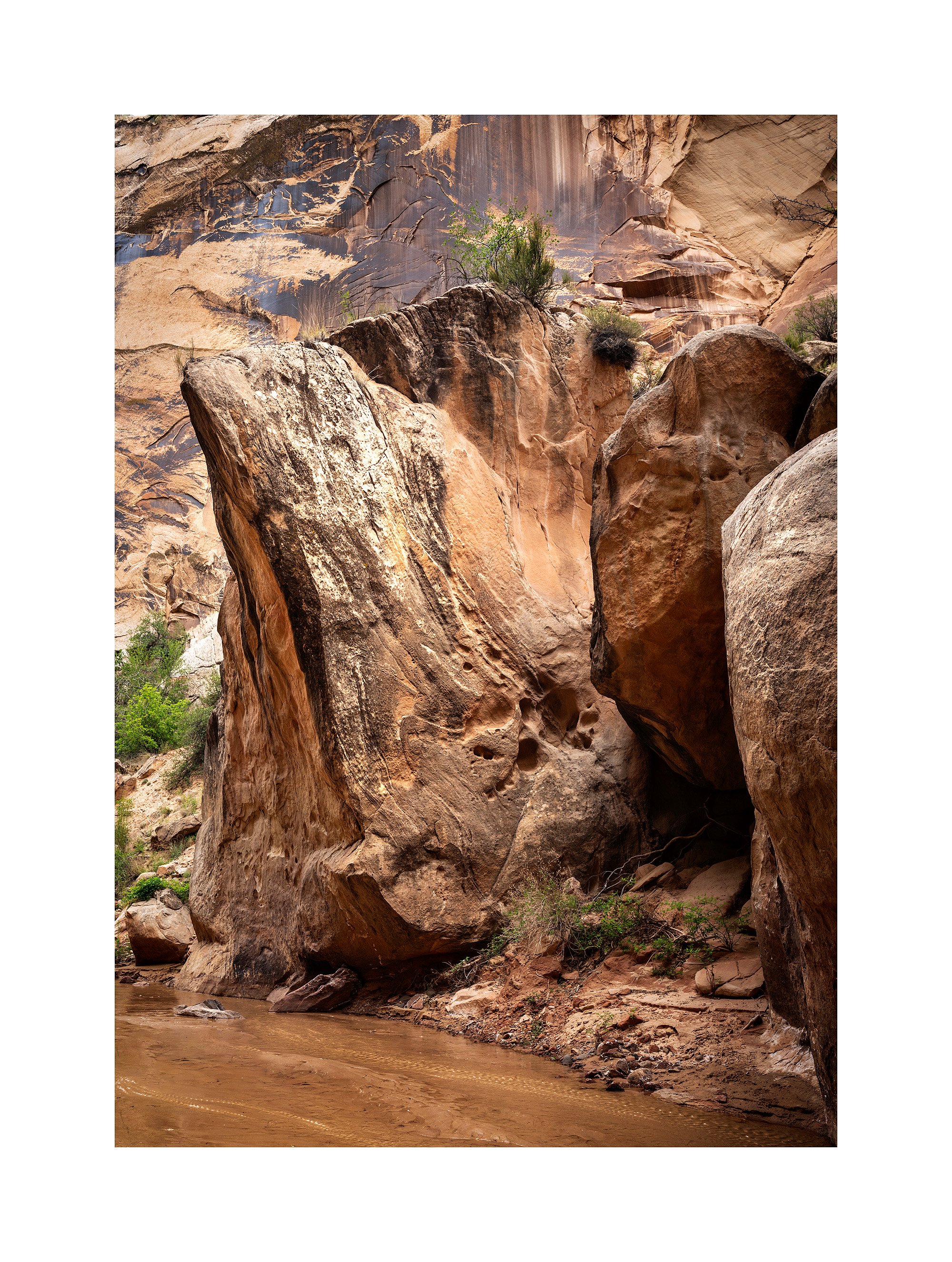 24051408_SonyA7R5_Raw_Edit.jpg