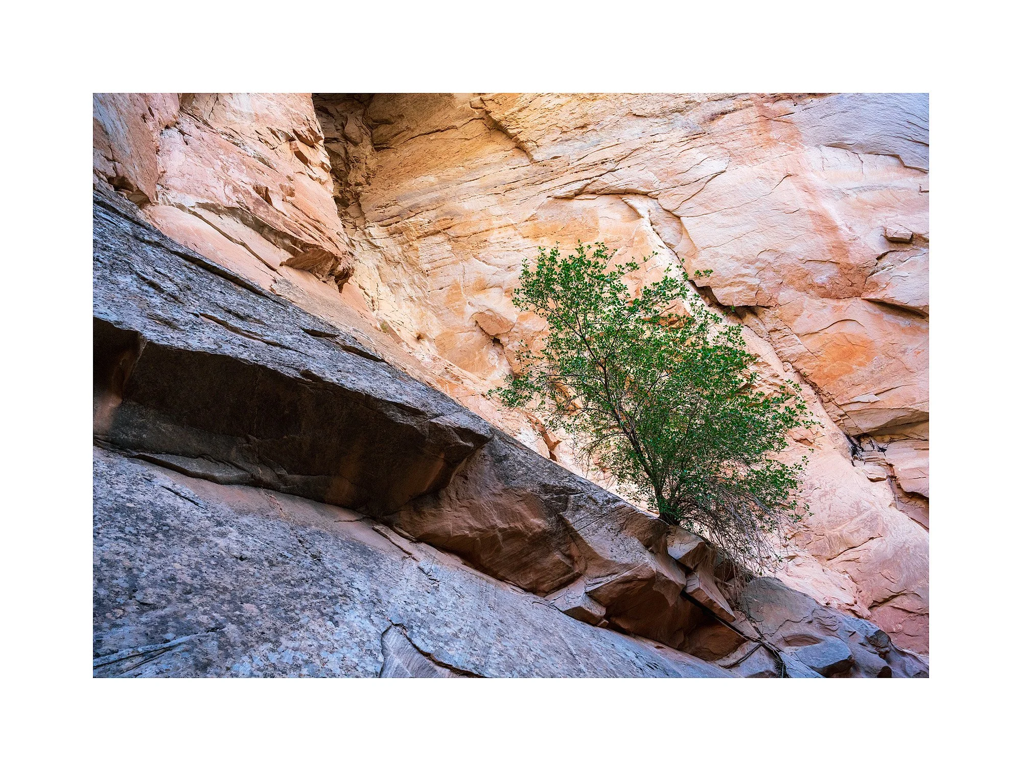24051501_SonyA7R5_Raw_Edit.jpg