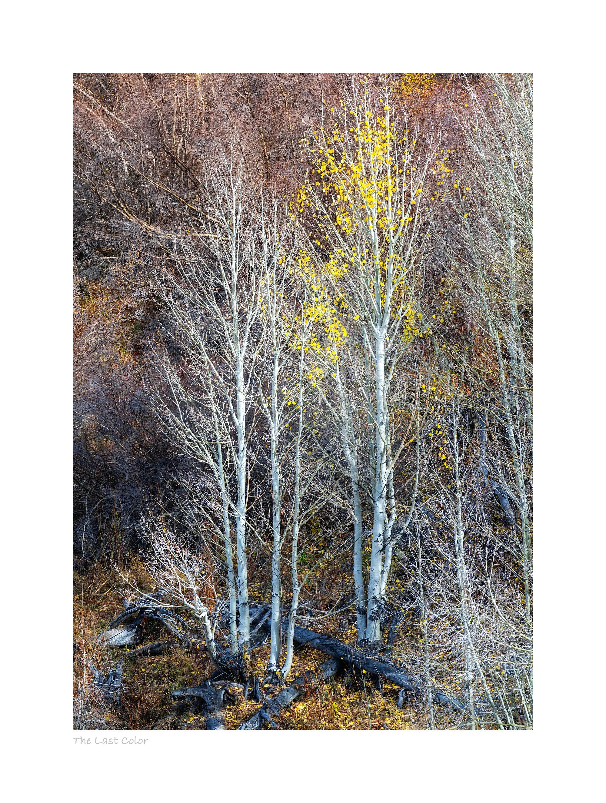 25103069_SonyA7R5_Master.jpg