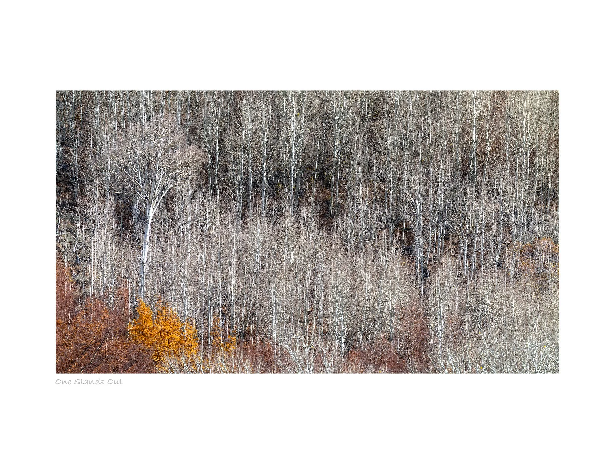 25103065_SonyA7R5_Master.jpg
