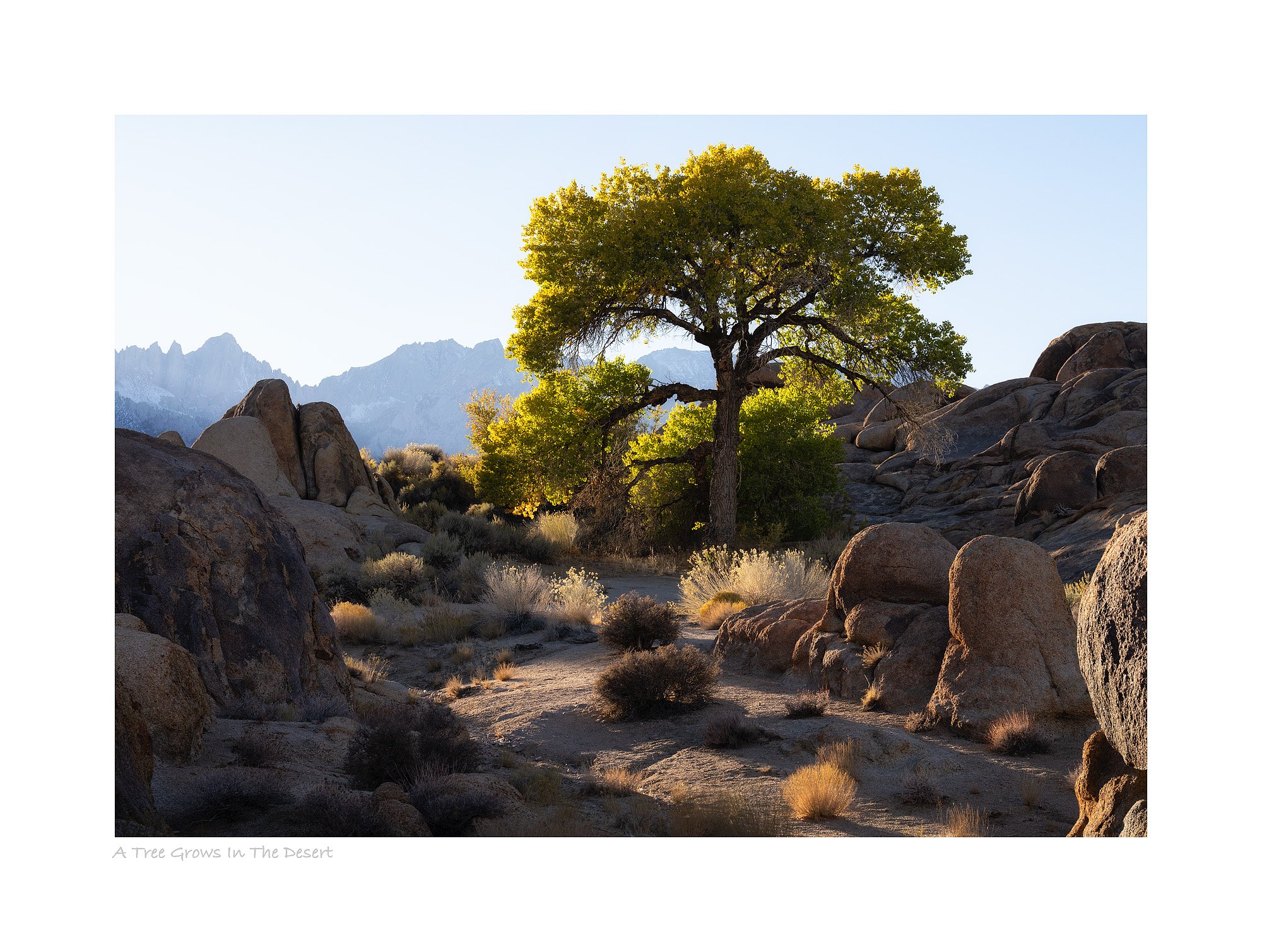 25102373_SonyA7R5_Raw_Edit.jpg