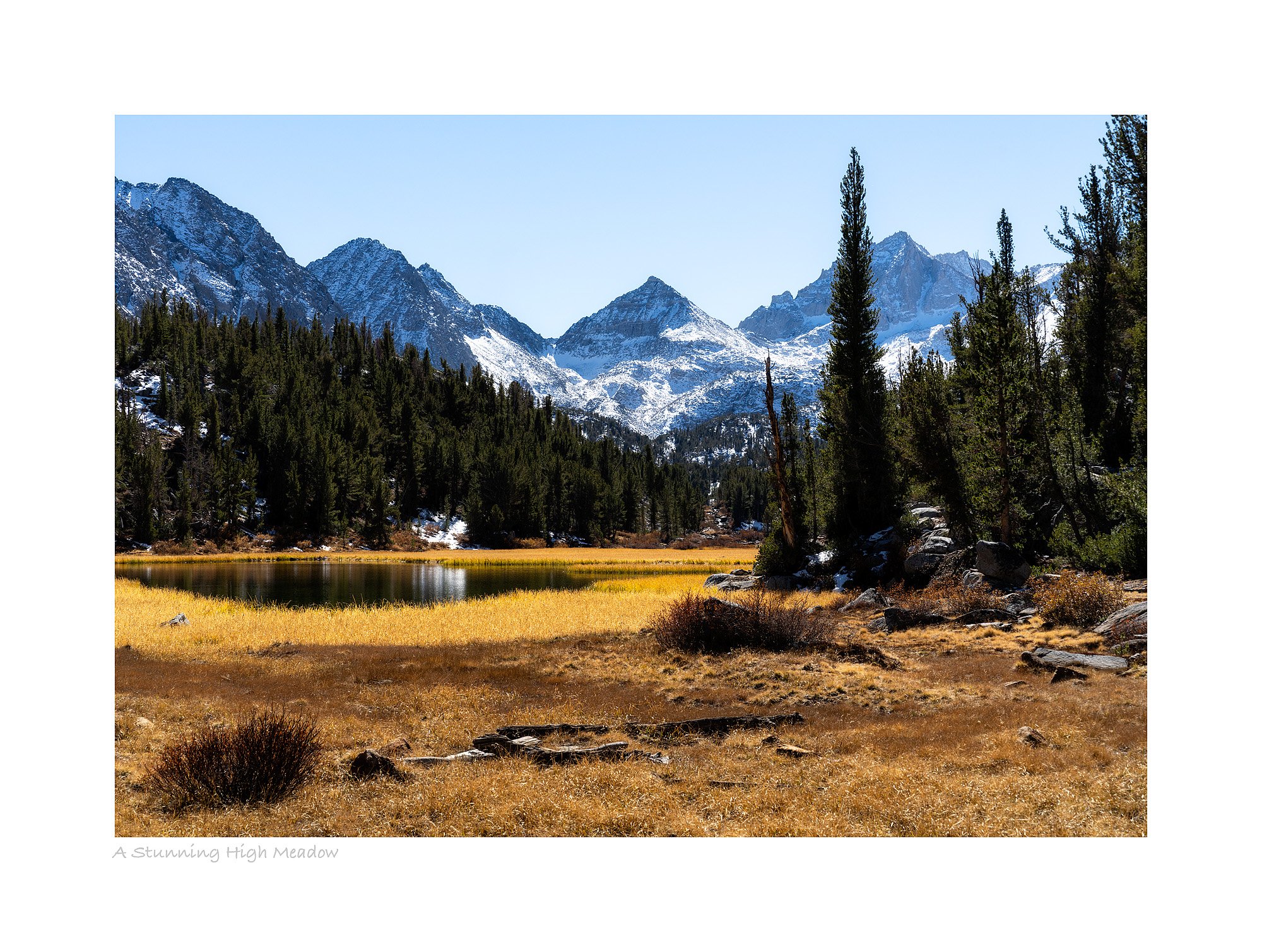 25102900_SonyA7R5_Raw_Edit.jpg