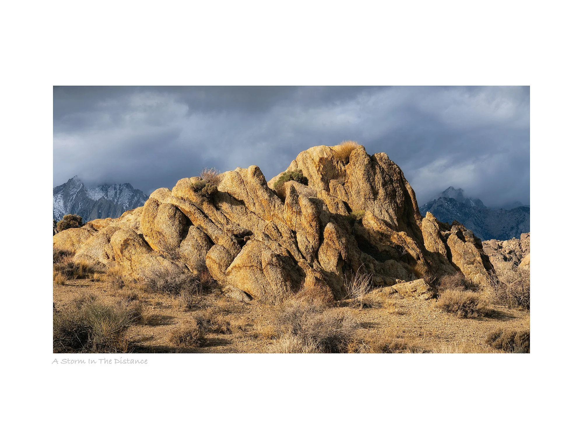 25102580_SonyA7R5_Raw_Edit.jpg
