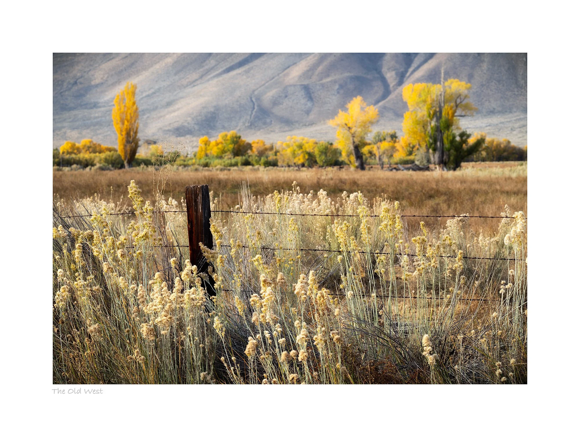 25103020_SonyA7R5_Master.jpg