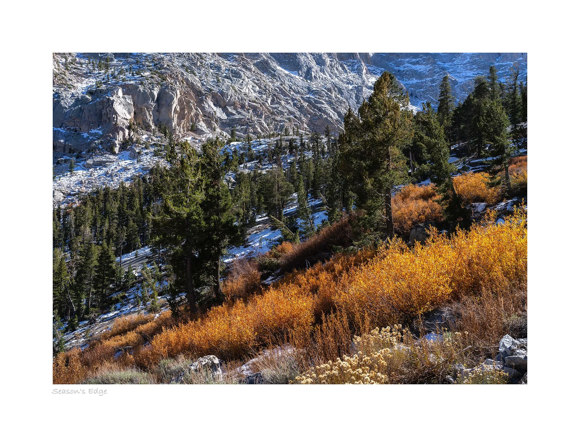25102474_SonyA7R5_Raw_Edit.jpg