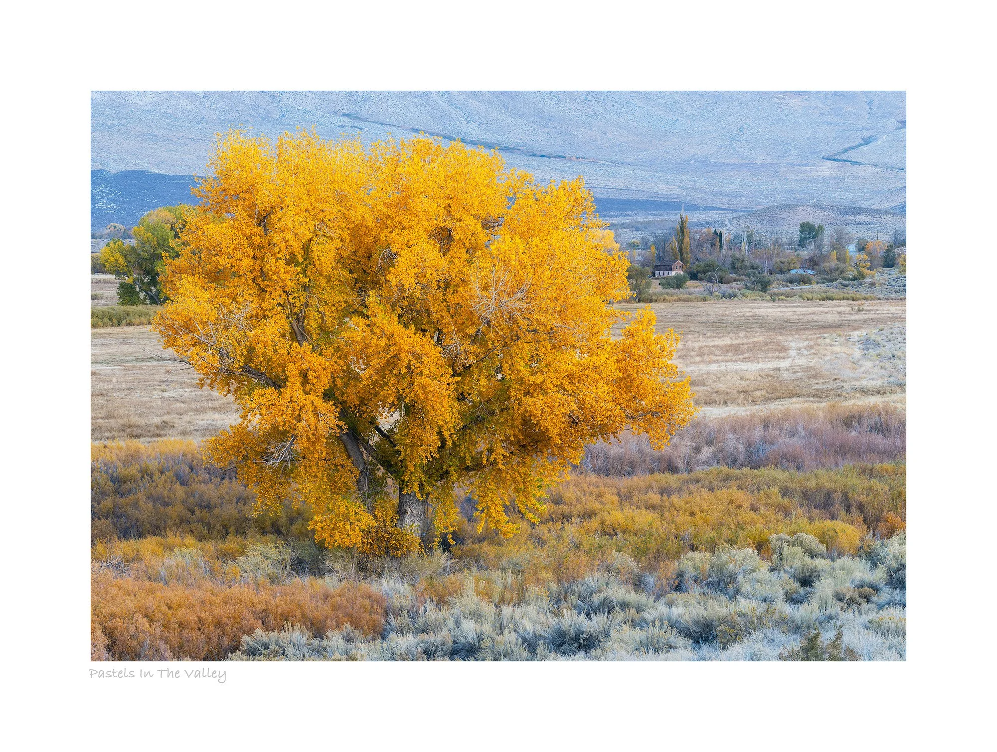 25103001_SonyA7R5_Master.jpg