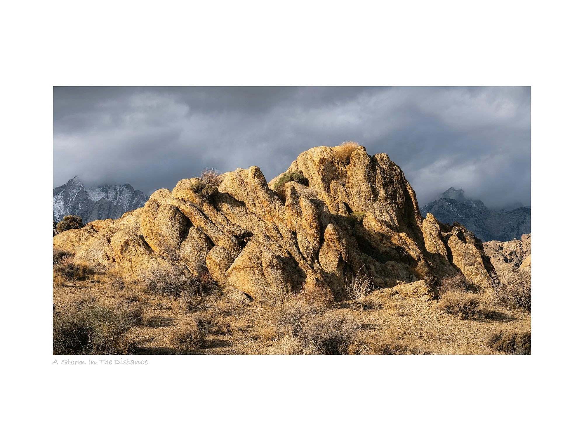 25102580_SonyA7R5_Raw_Edit.jpg