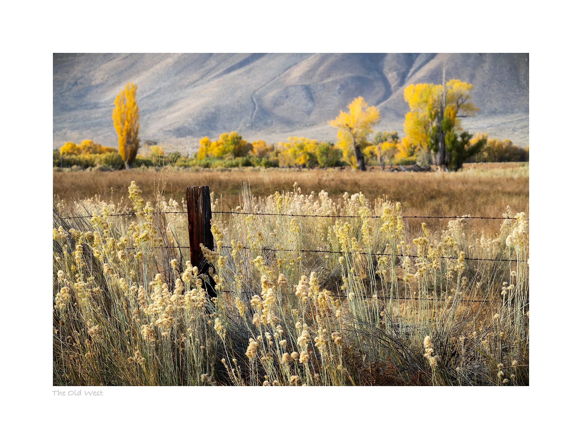 25103020_SonyA7R5_Master.jpg