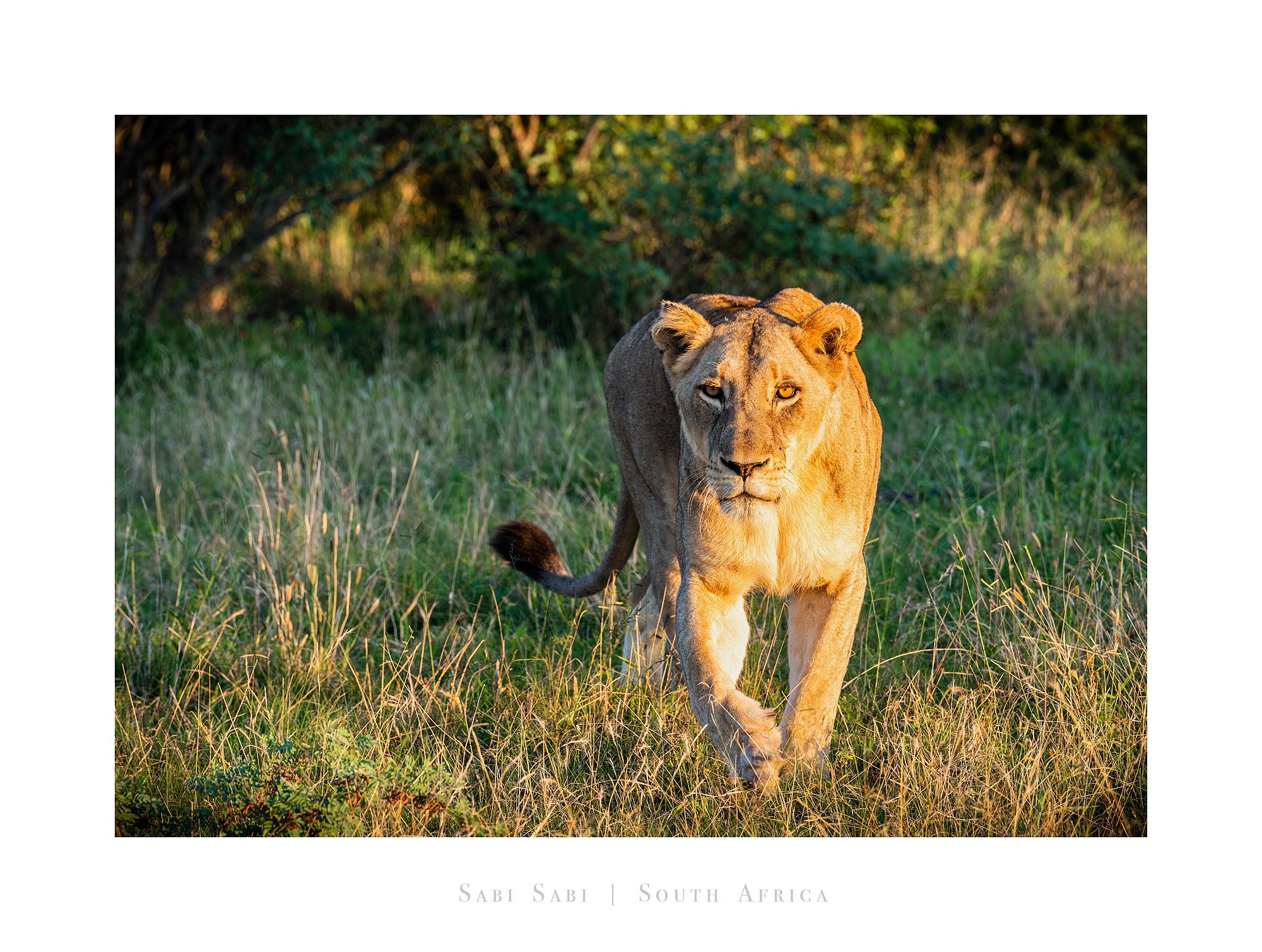 26054339_SonyA7R5_Raw.jpg