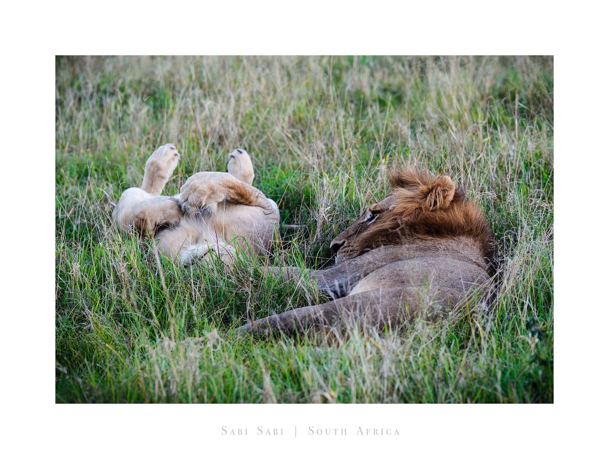 26053447_SonyA7R5_Raw.jpg