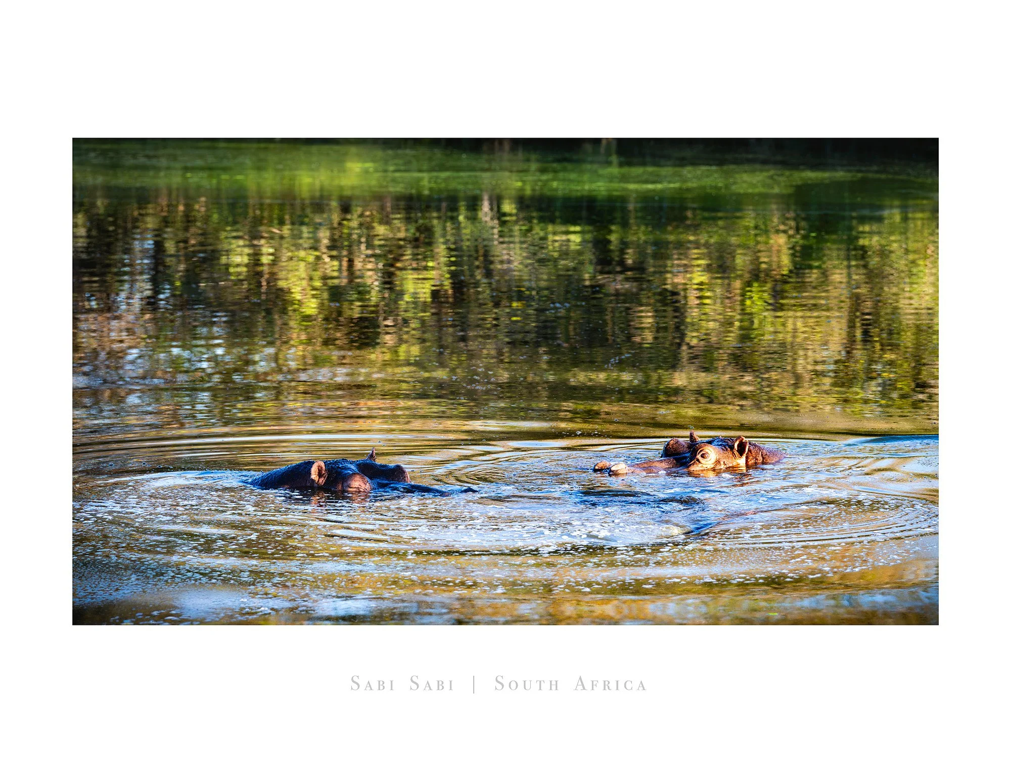 26053578_SonyA7R5_Master.jpg