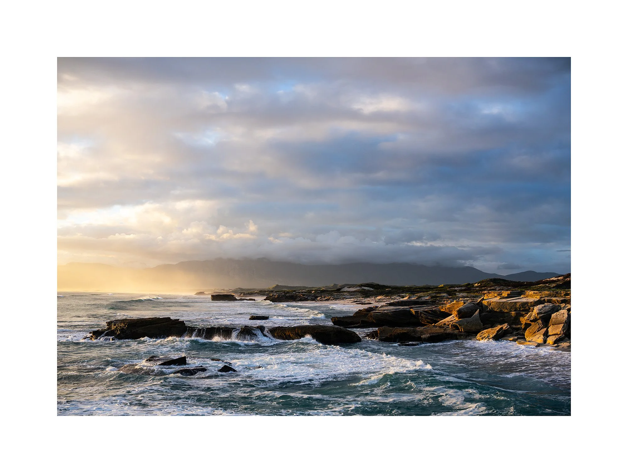 26053304_SonyA7R5_Raw.jpg