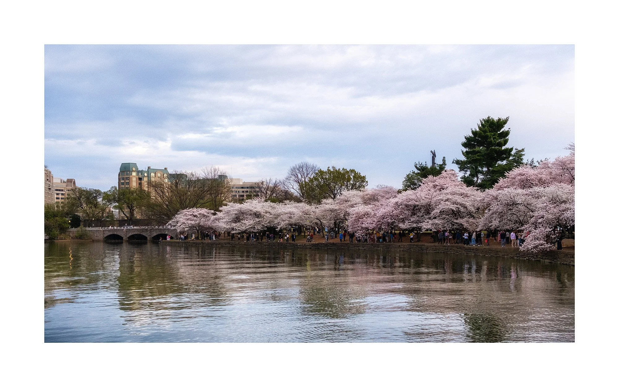 25031314_FujiXT50_Raw_Edit.jpg
