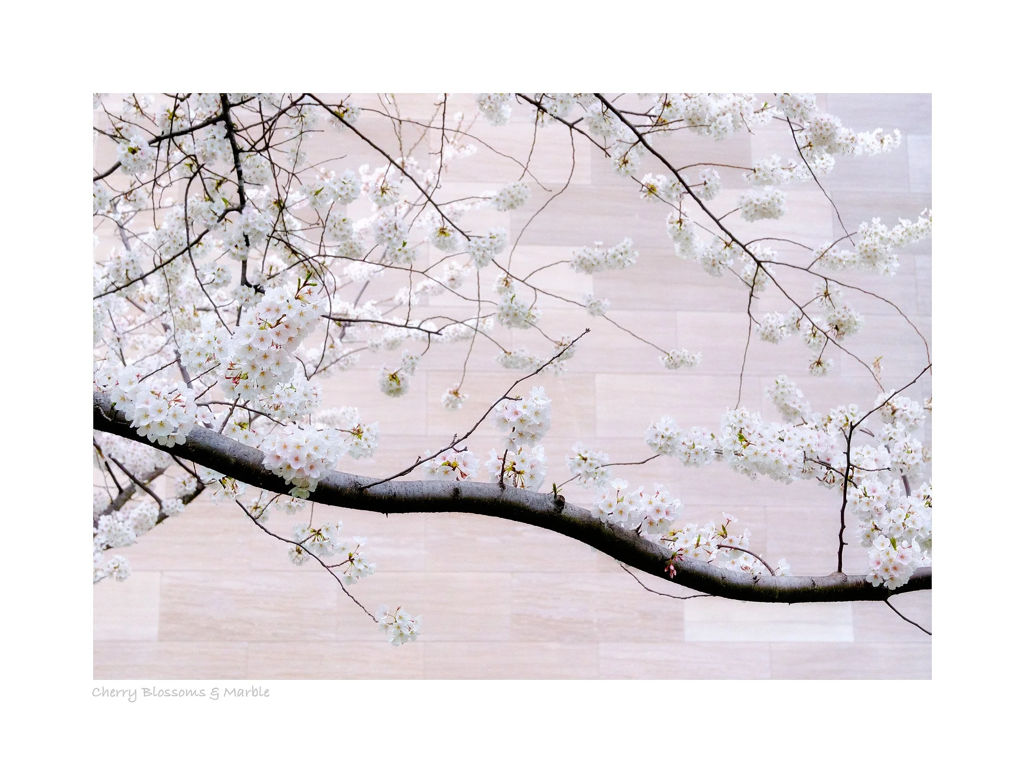 25031246_FujiXT50_Master.jpg