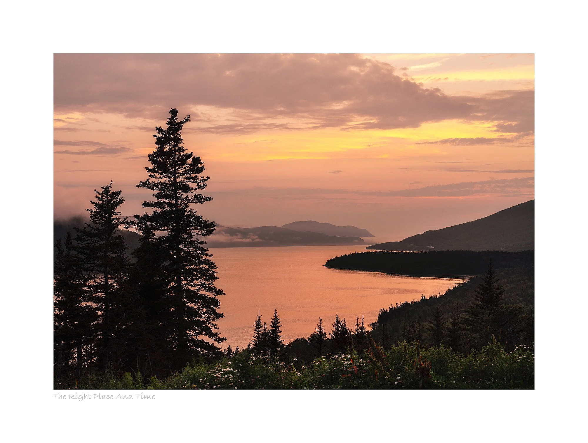 23071026_SonyA7R5_Raw_Edit-4.jpg