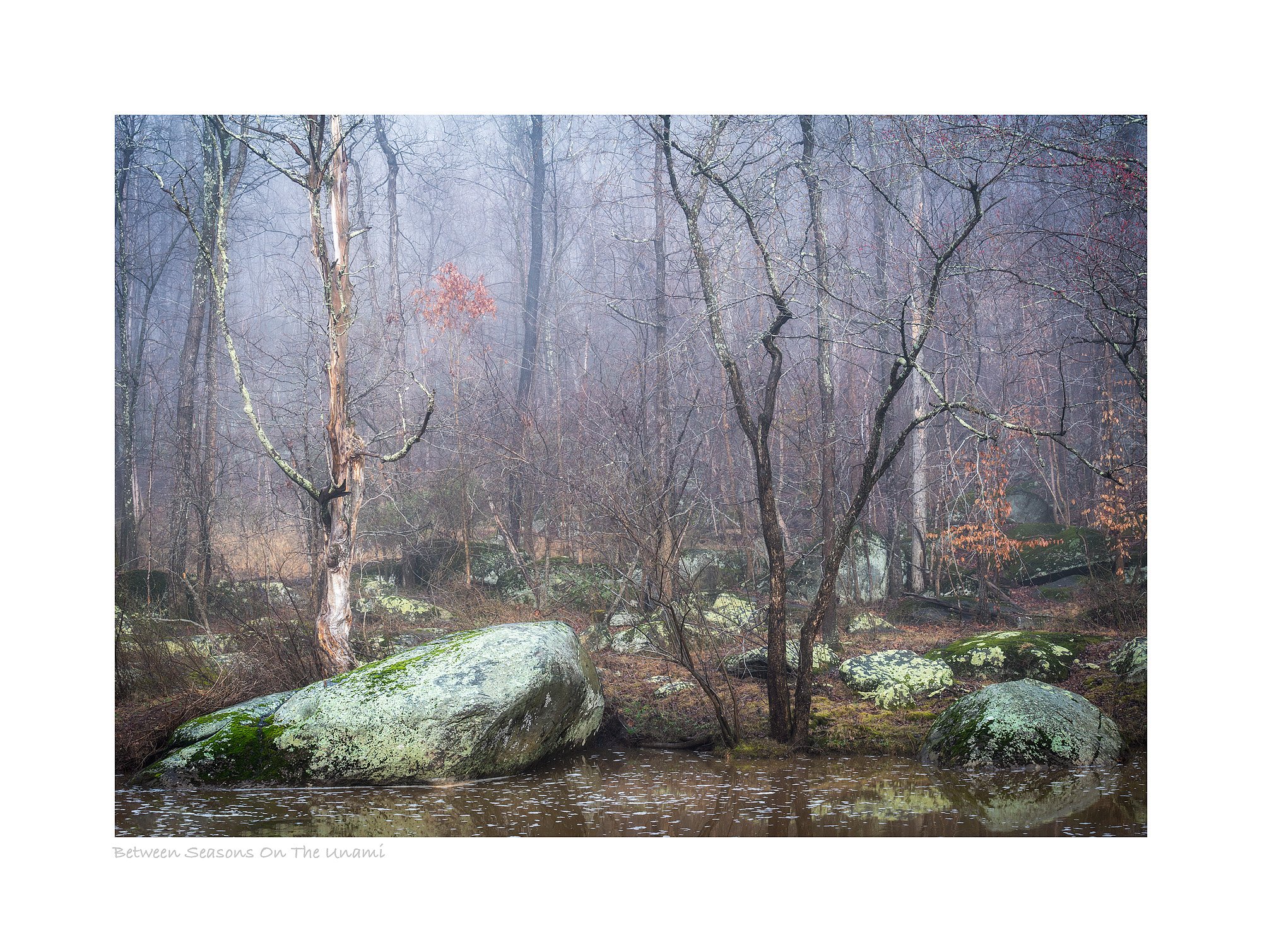 22034481_SonyA7R3_Raw_Edit-6.jpg