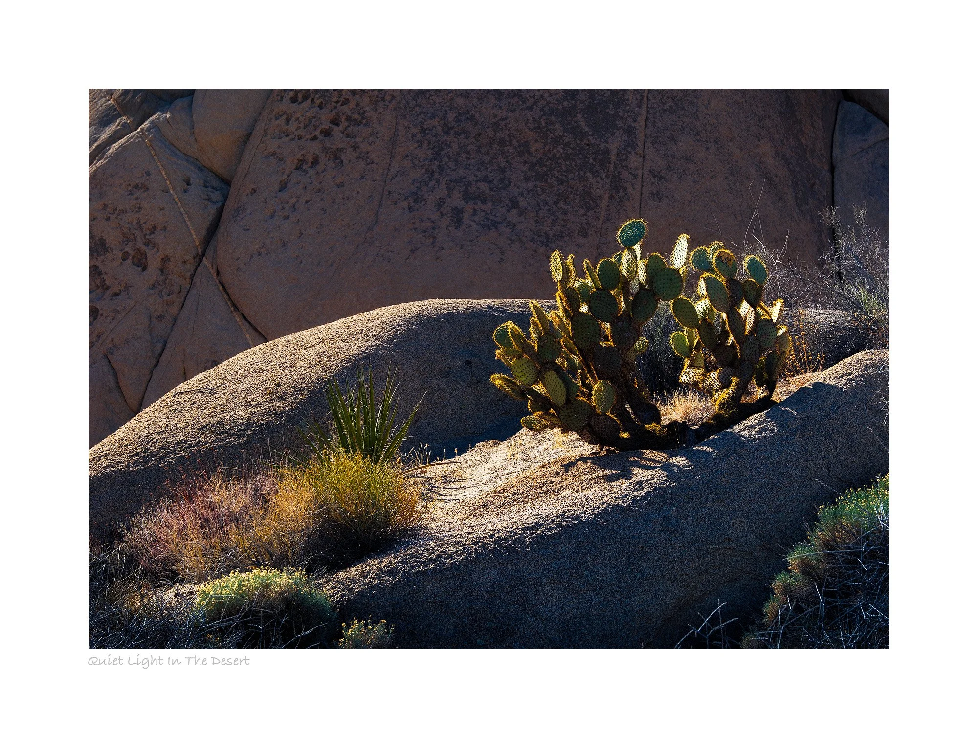 25021164_FujiXT50_Raw_Edit-3.jpg