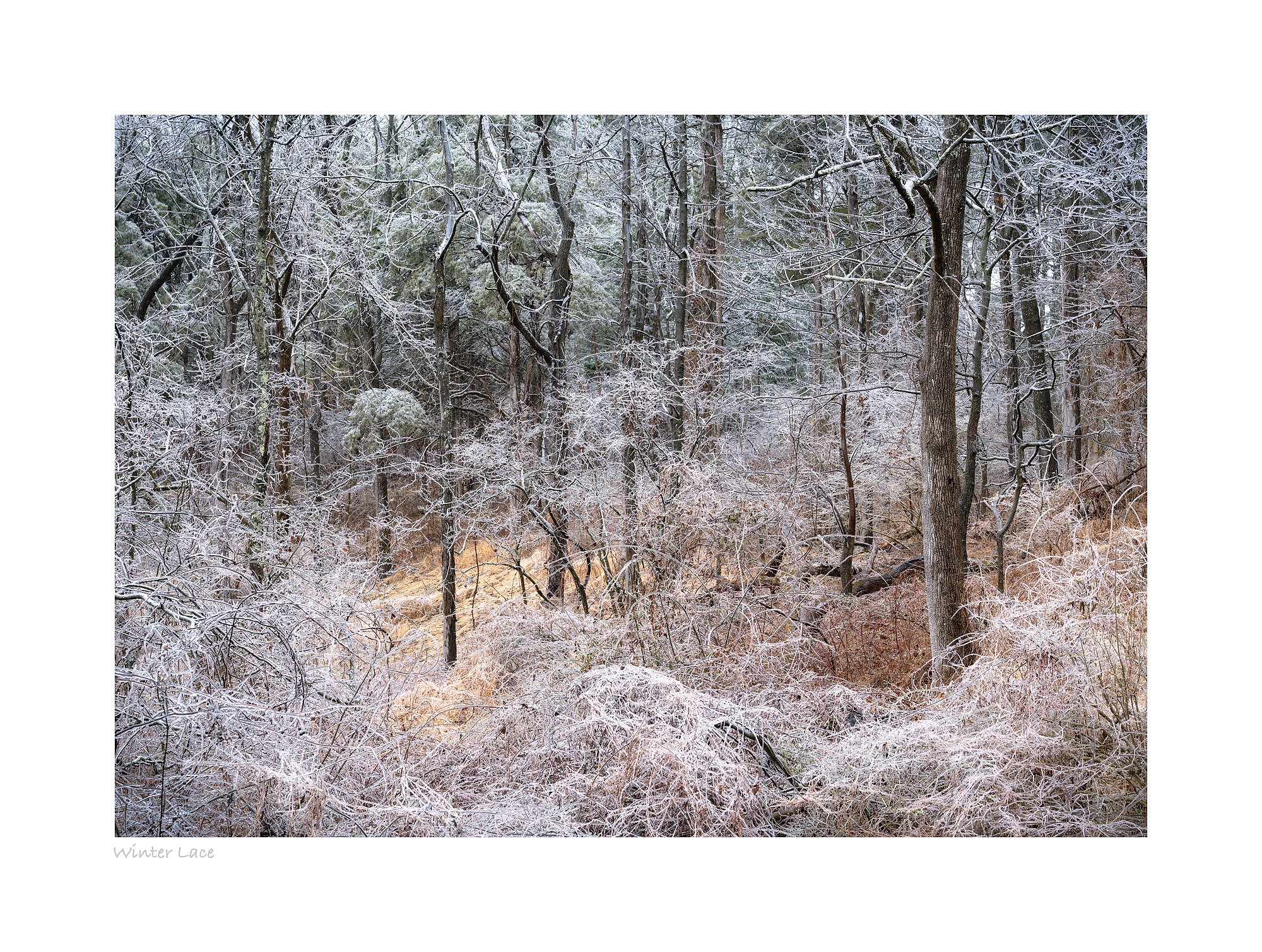 22014461_SonyA7R3_Raw_Edit-5.jpg