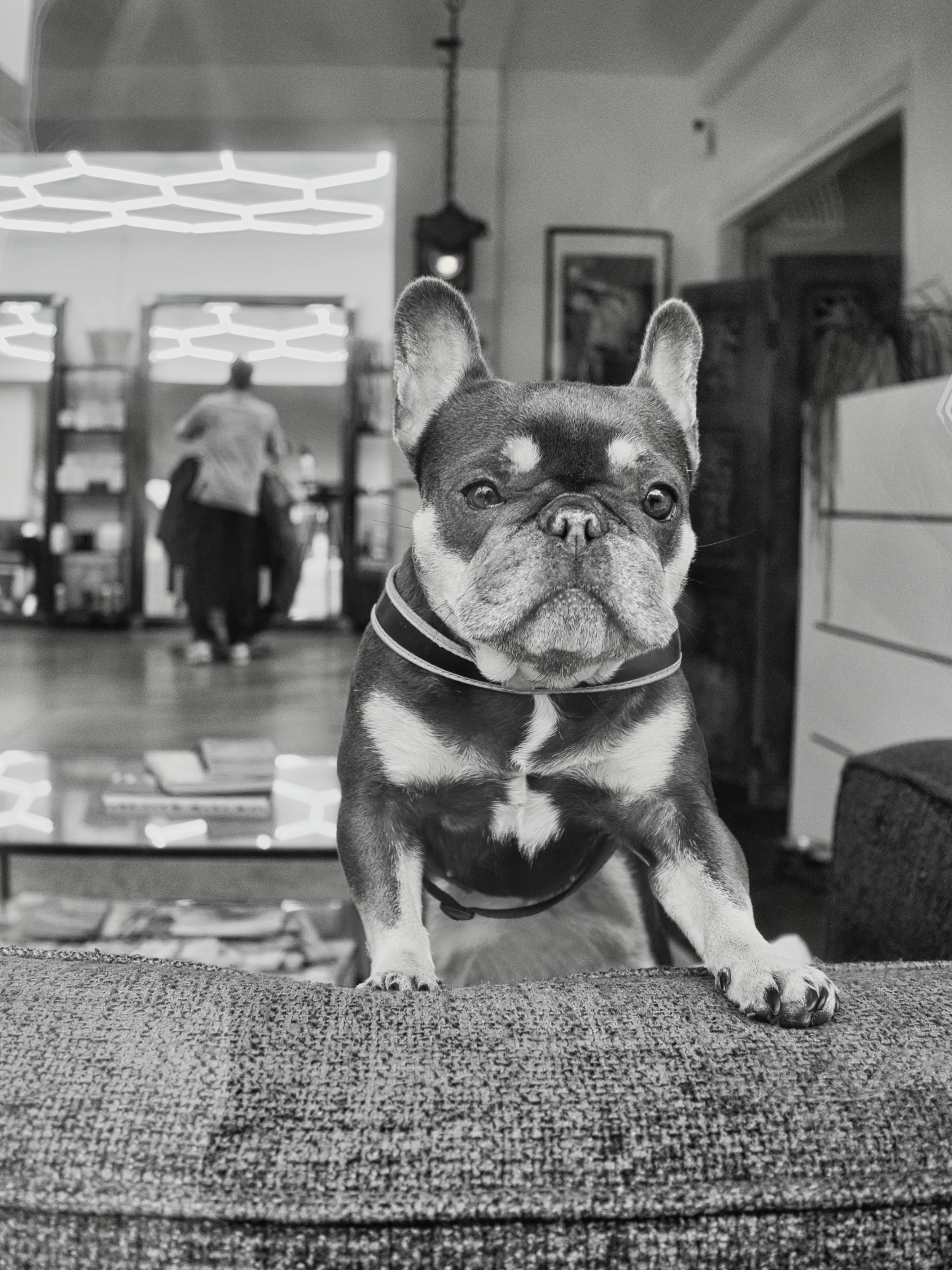 Fokko Muller Groningen 2026-01-21 01 highres.jpg