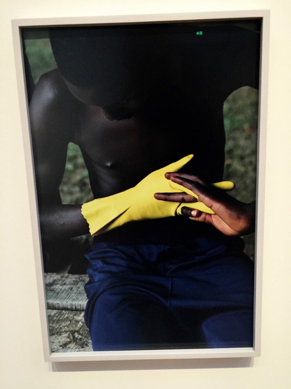Viviane Sassen