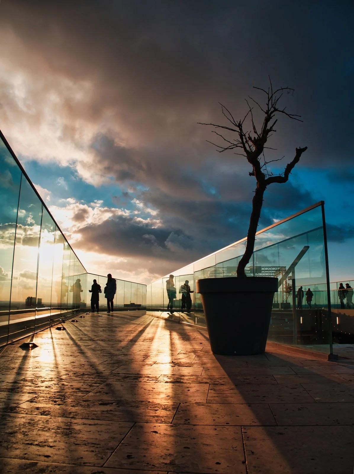 Fokko Muller Groningen 2025-01-31 09 OM-3.jpg