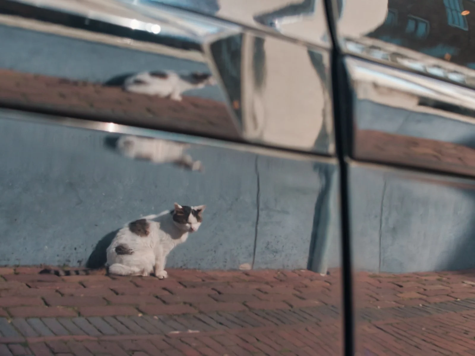 Fokko Muller Utrecht 2025-03-22 06.jpg