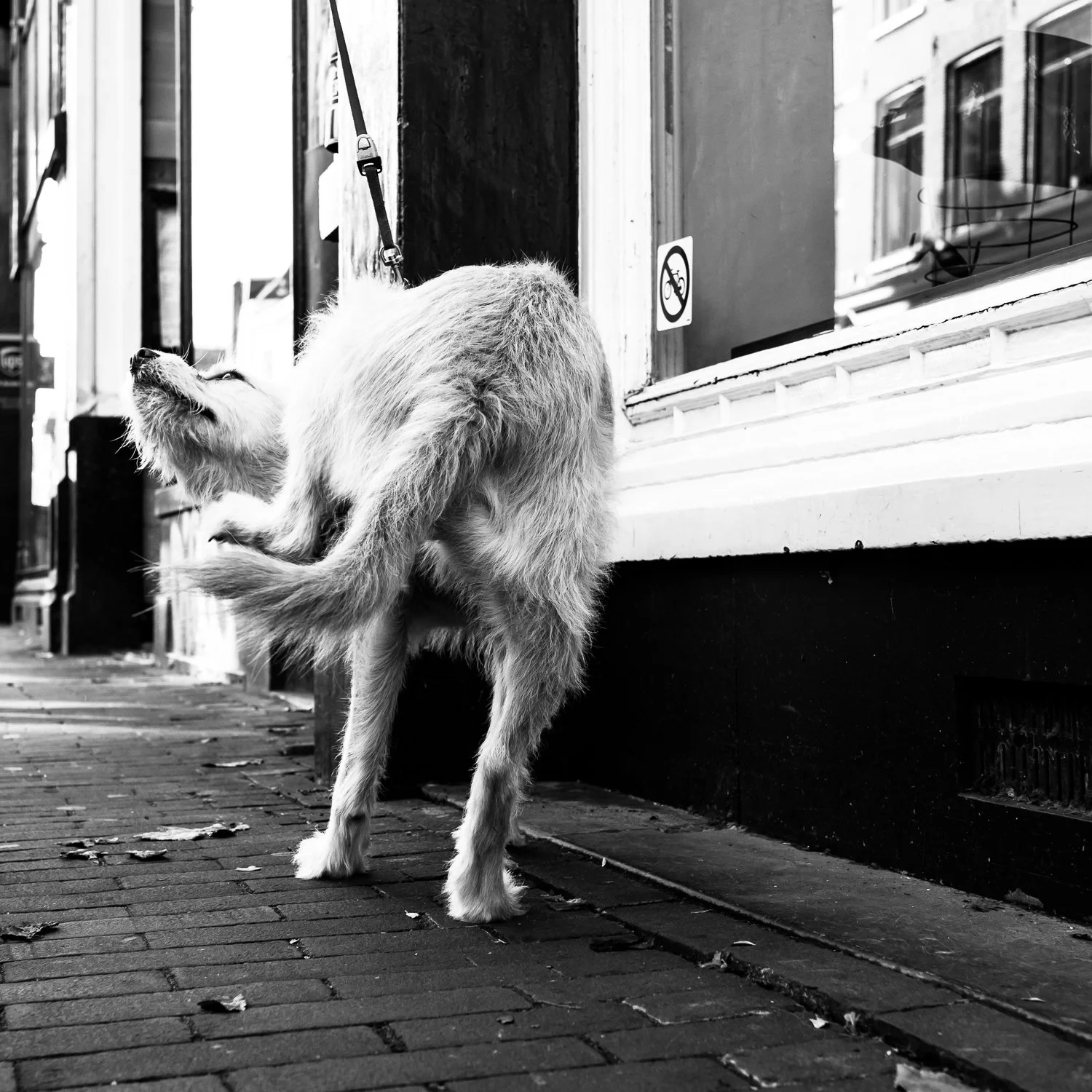 fokko muller street photography - 181005 - 002.jpg