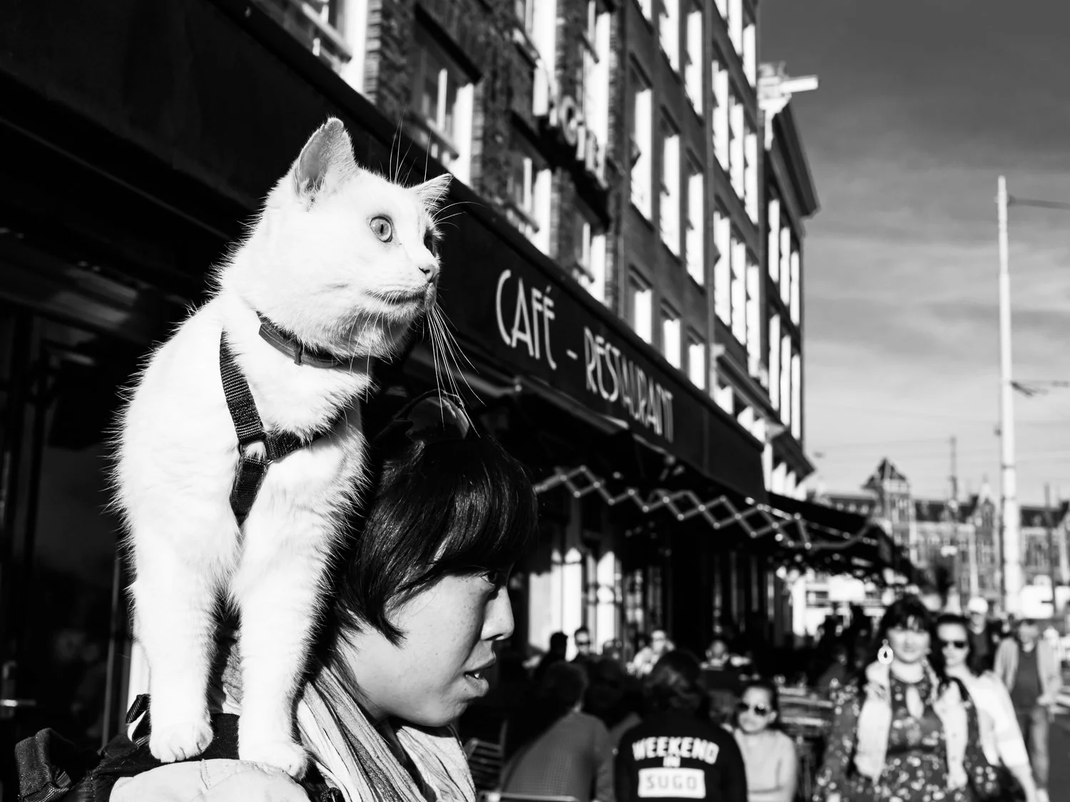 fokko muller street photography - 181013 - 004.jpg