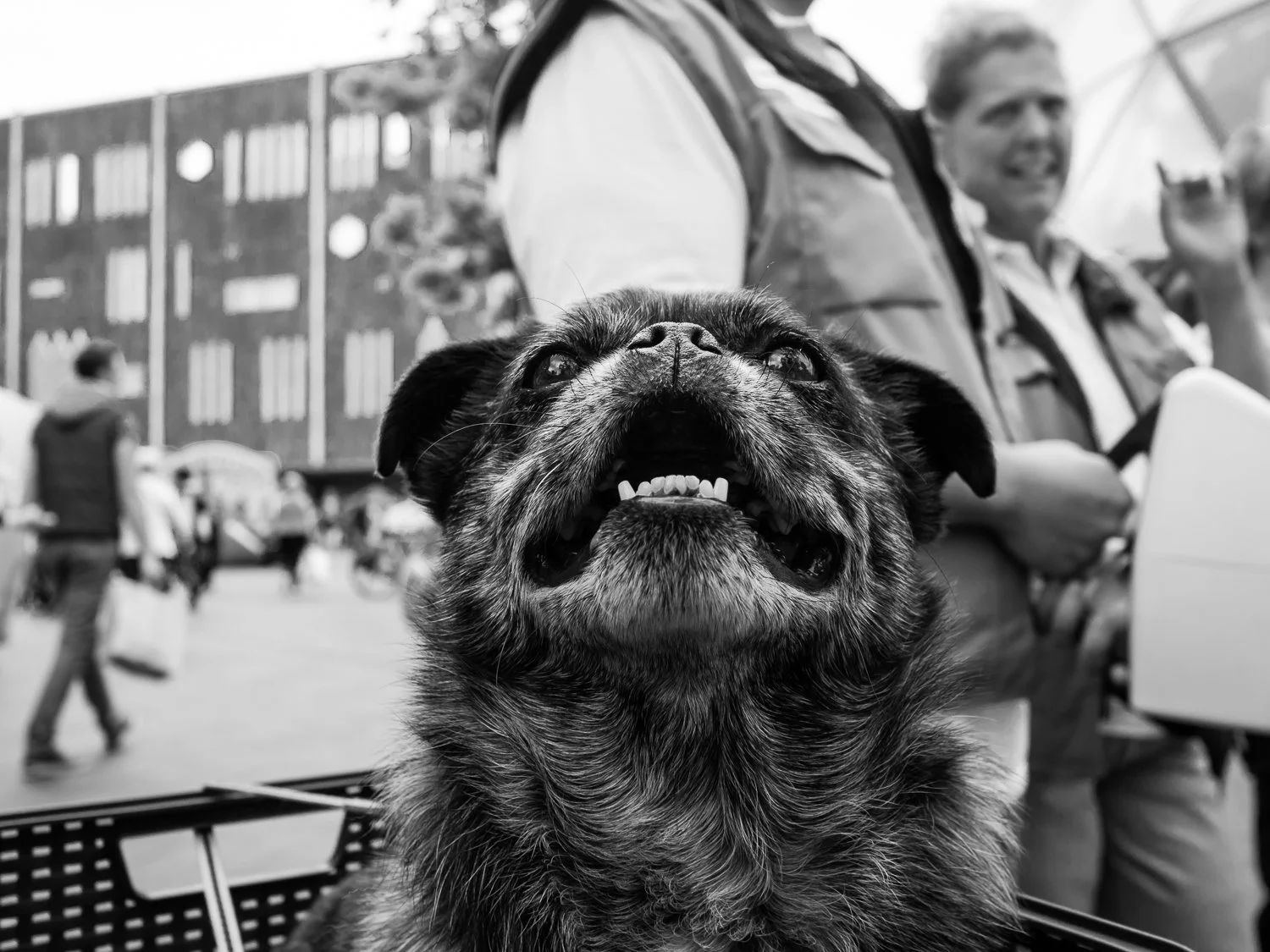 fokko muller street photography - 140621 - 004 - kopie.jpg