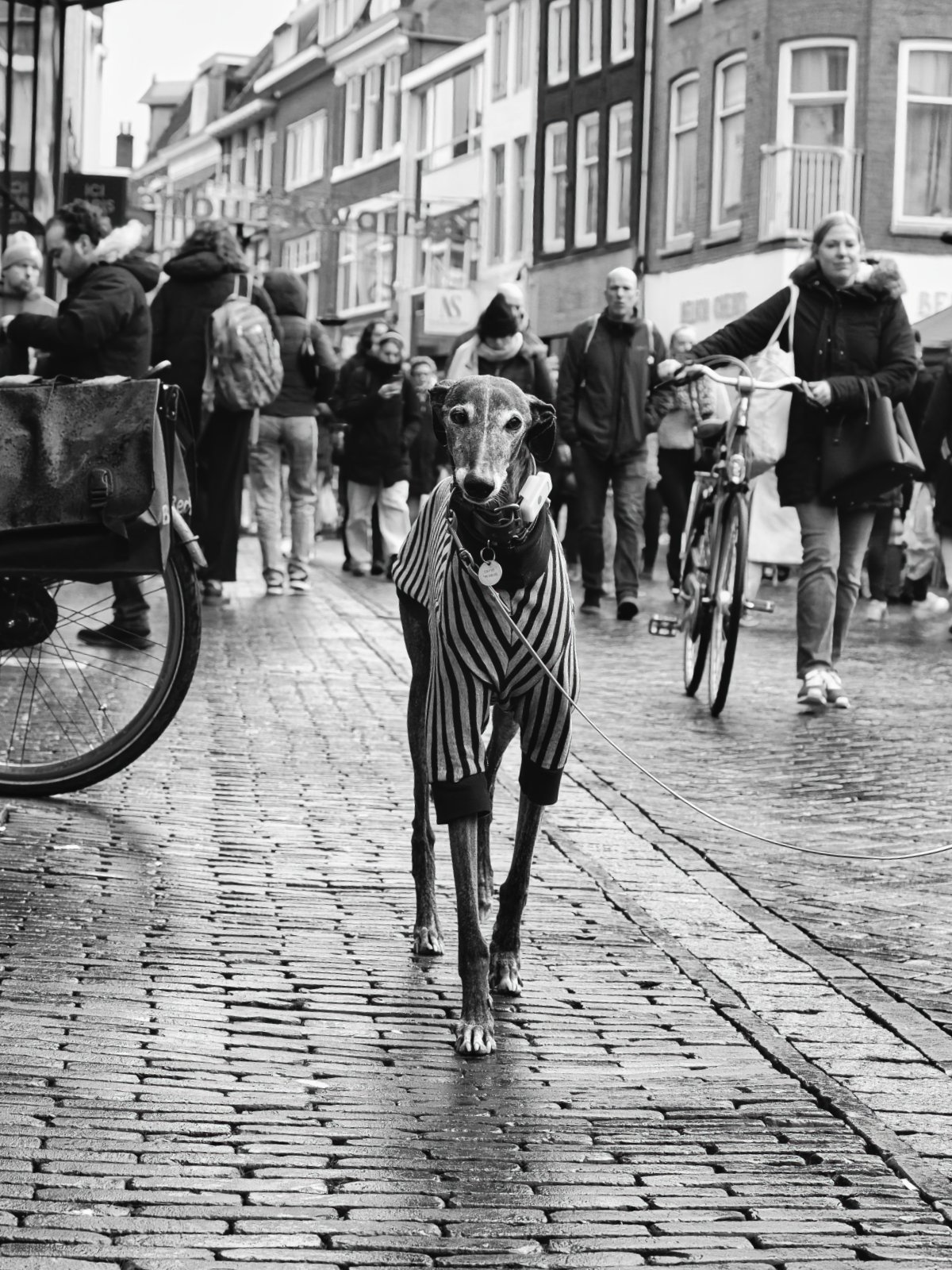 Fokko Muller Utrecht 2025-01-25 06 B.jpg