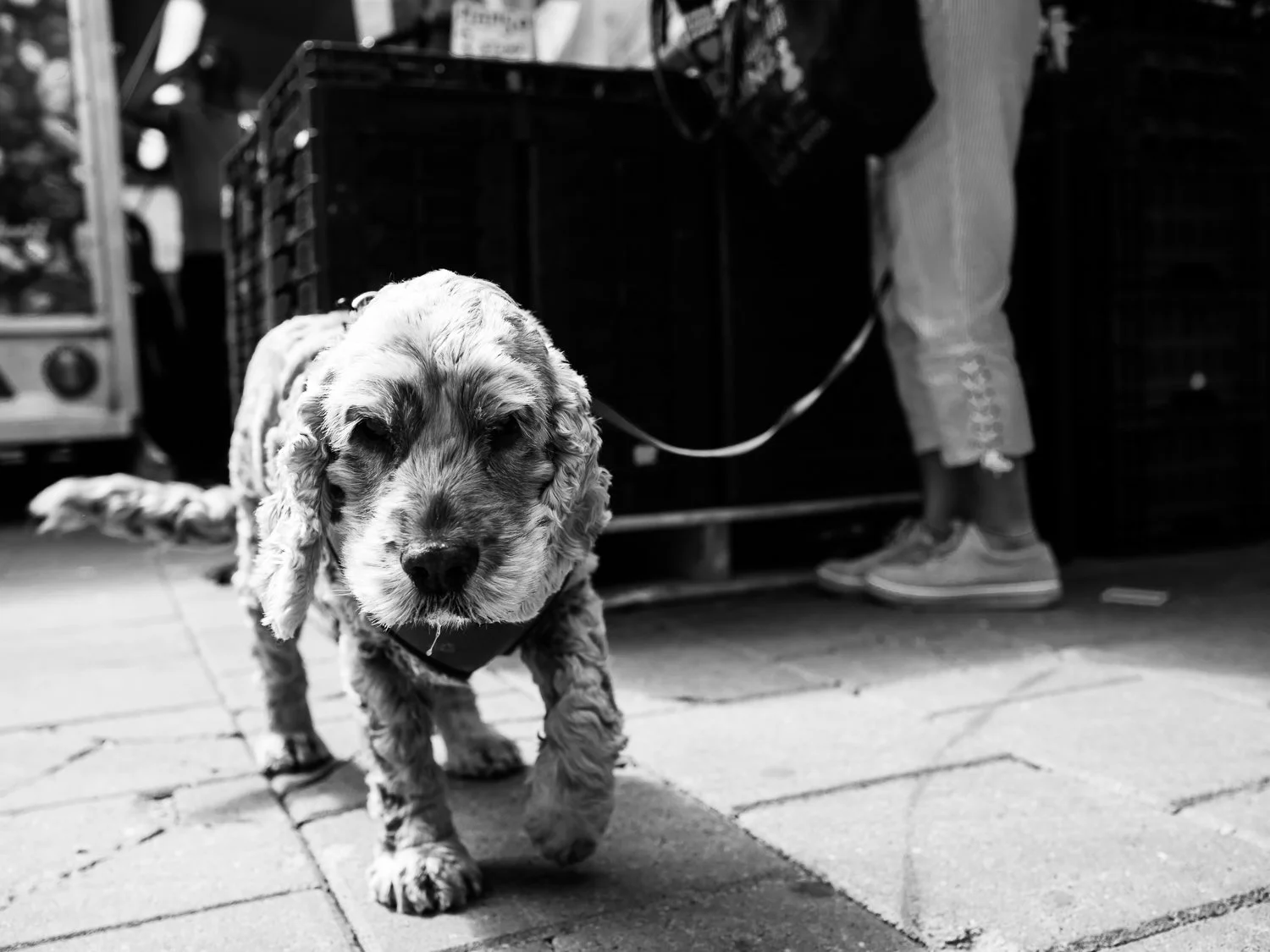 fokko muller street photography - 180512 - 009 - kopie.jpg