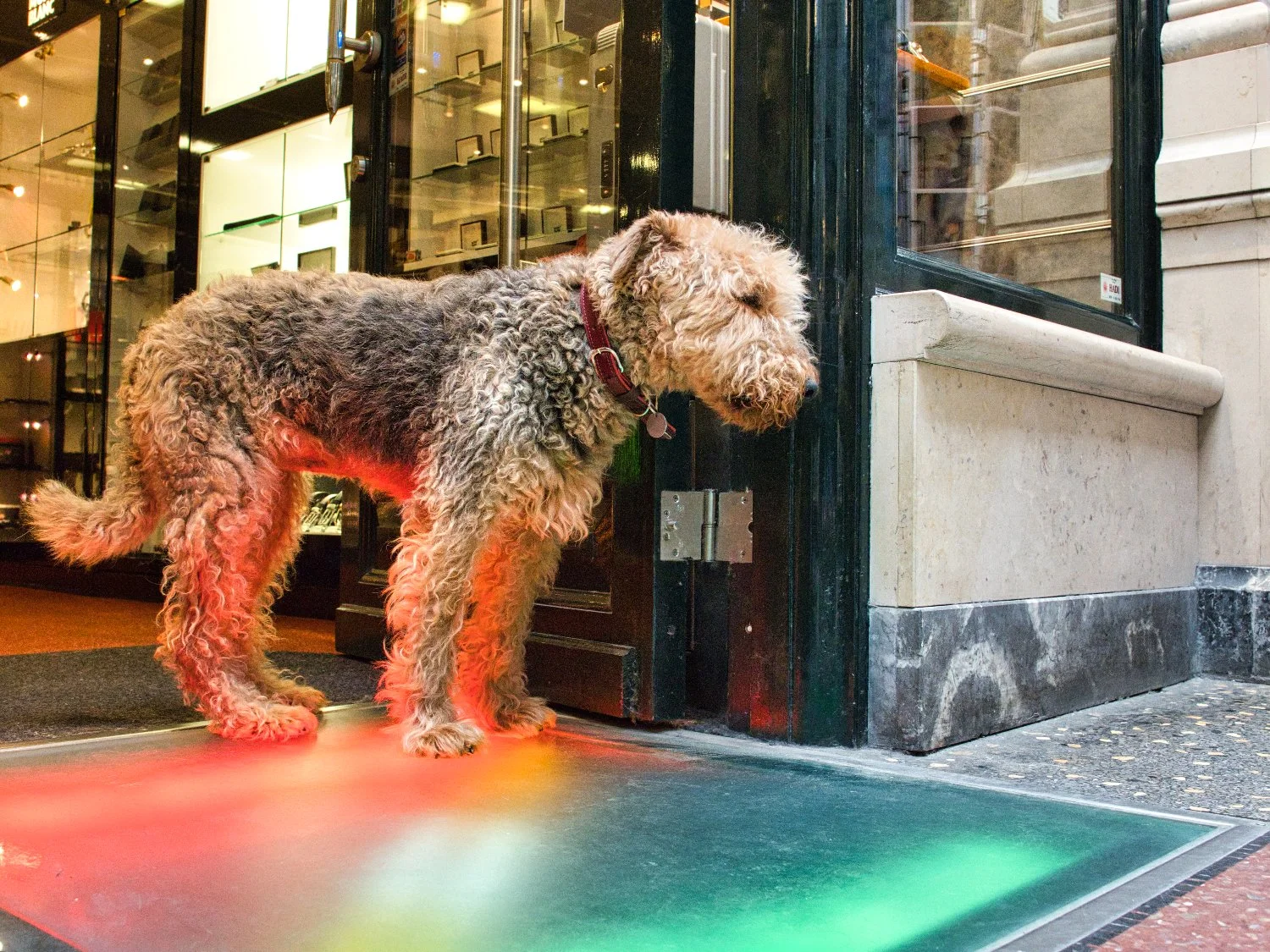 Fokko Muller - 200215 - 005 - kopie.jpg