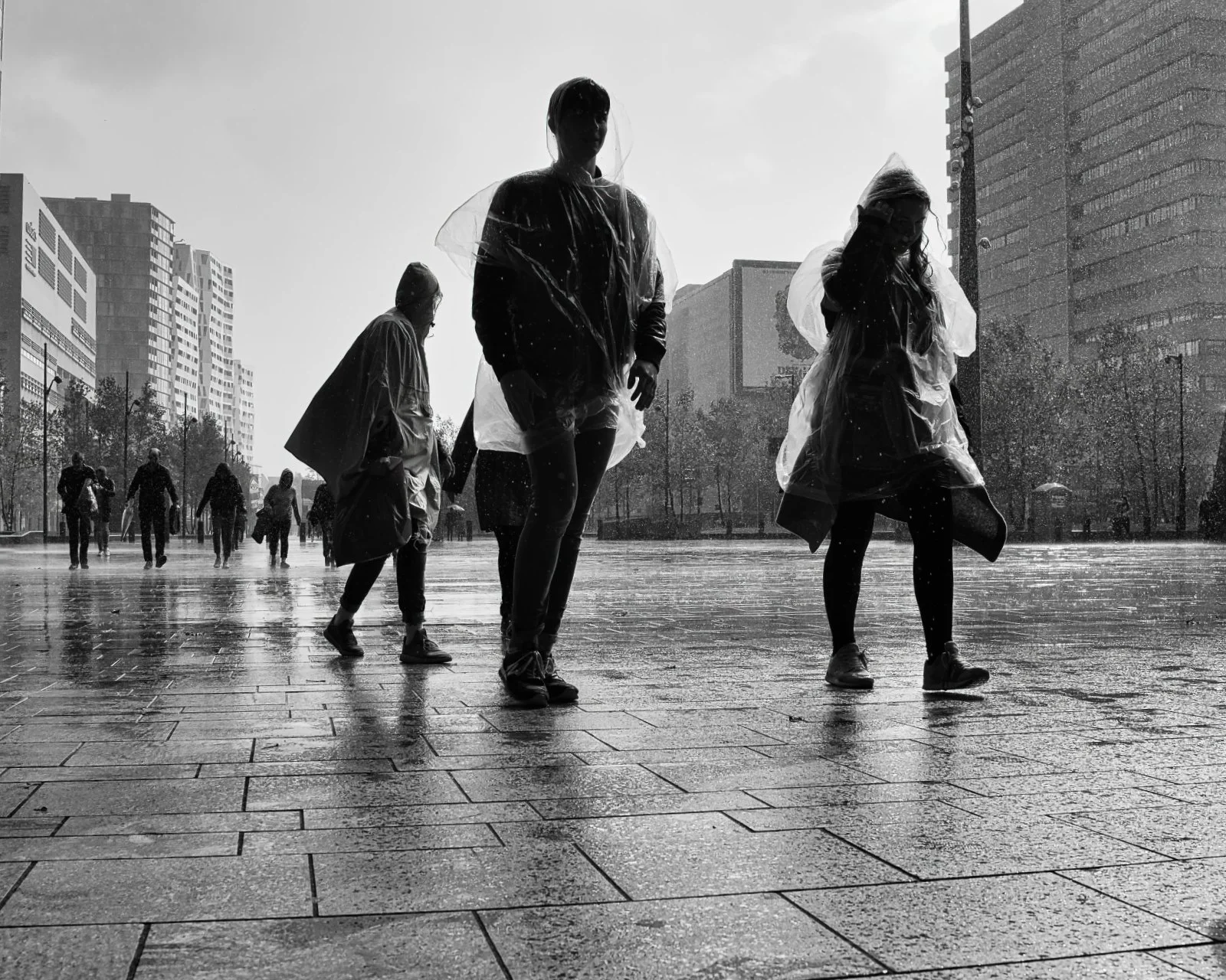 Fokko Muller 19-09-28 - 05 - kopie.jpg