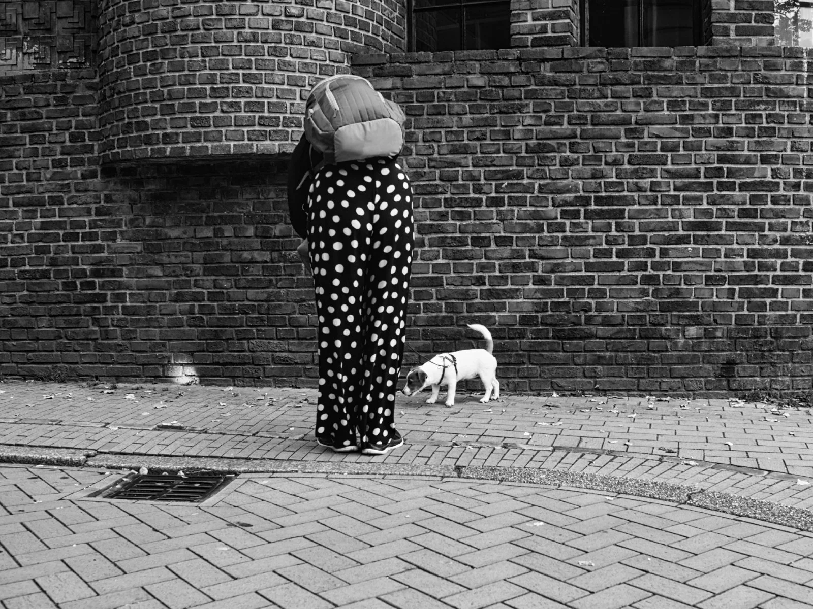 Fokko Muller 23-09-30 02 - kopie.jpg