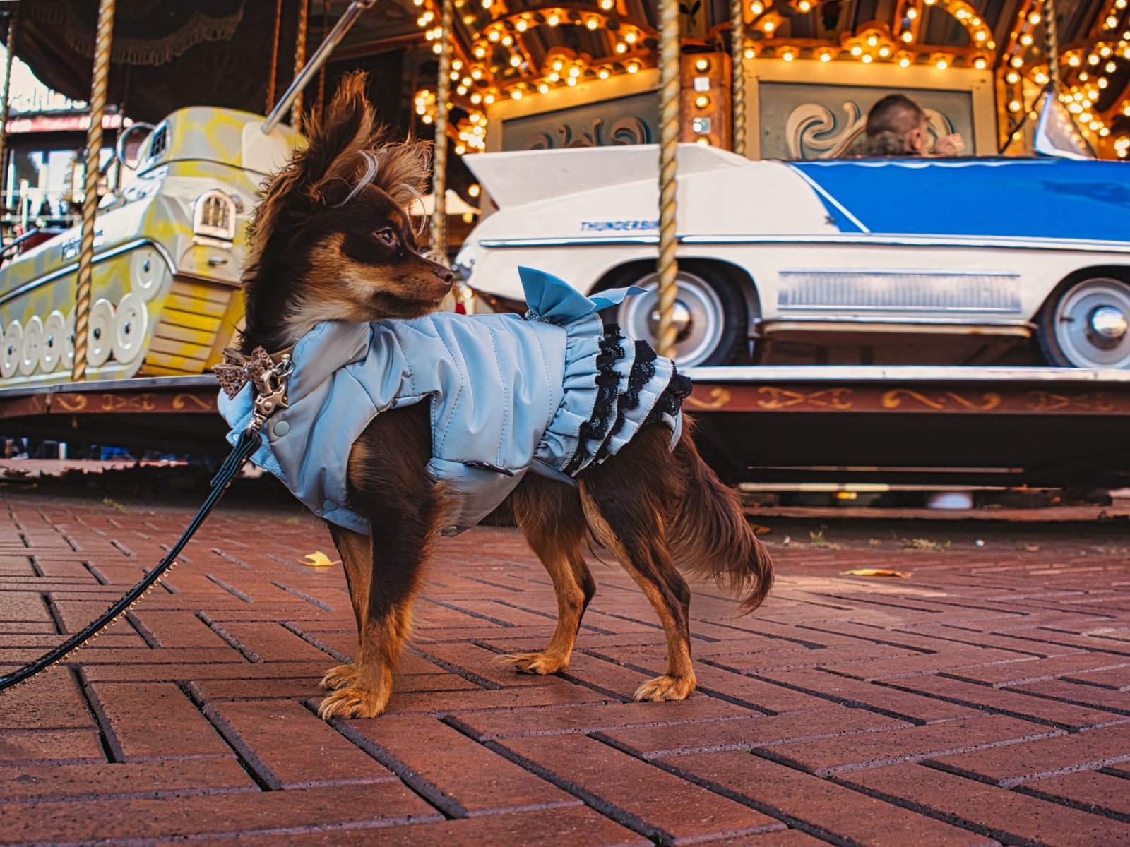 fokko muller street photography - 141108 - 671 - kopie.jpg