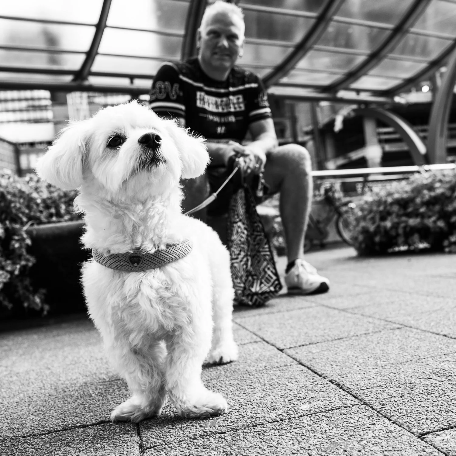 fokko muller street photography - 180811 - 005.jpg