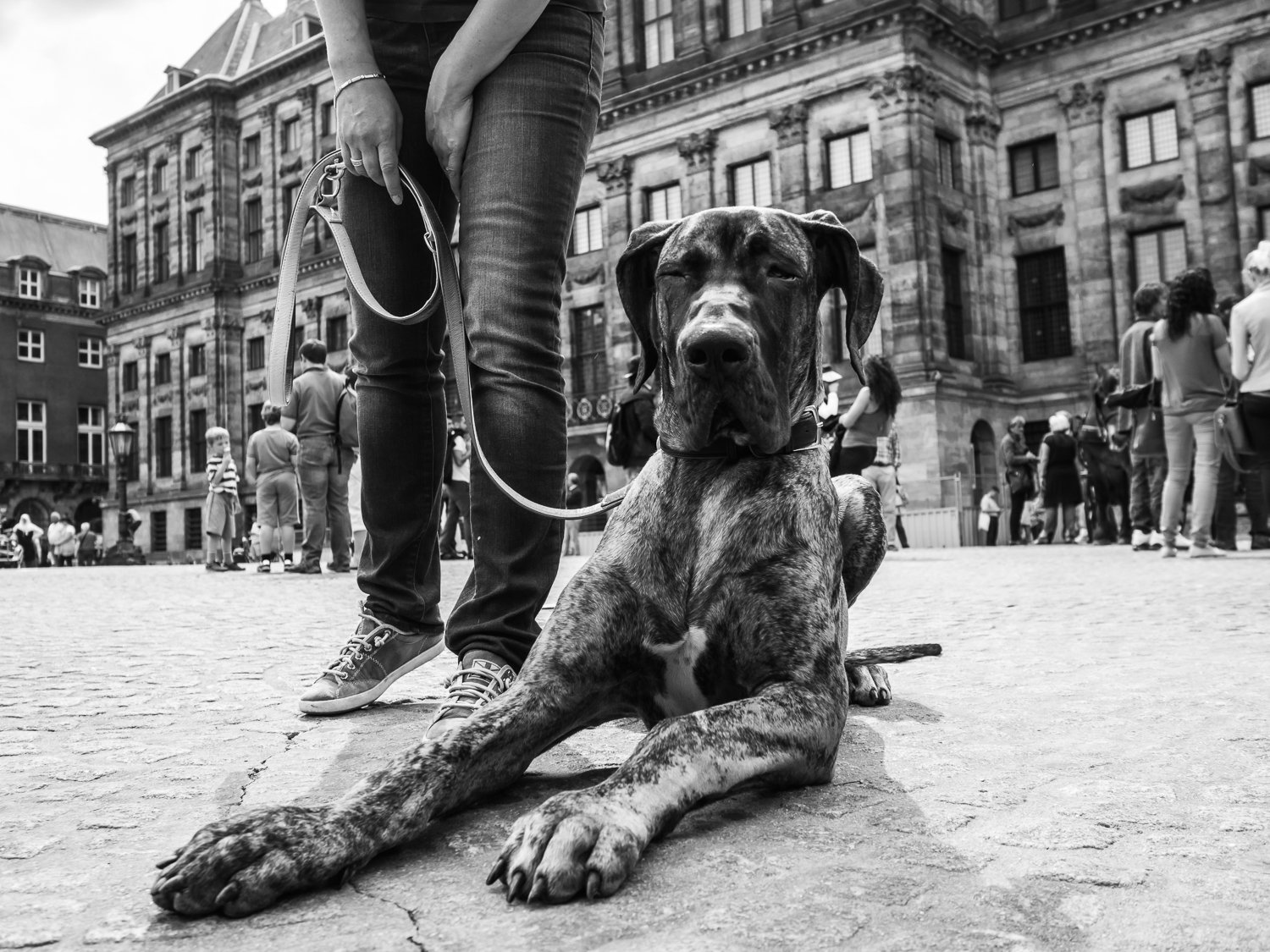 fokko muller street photography - 140531 - 001 - kopie.jpg