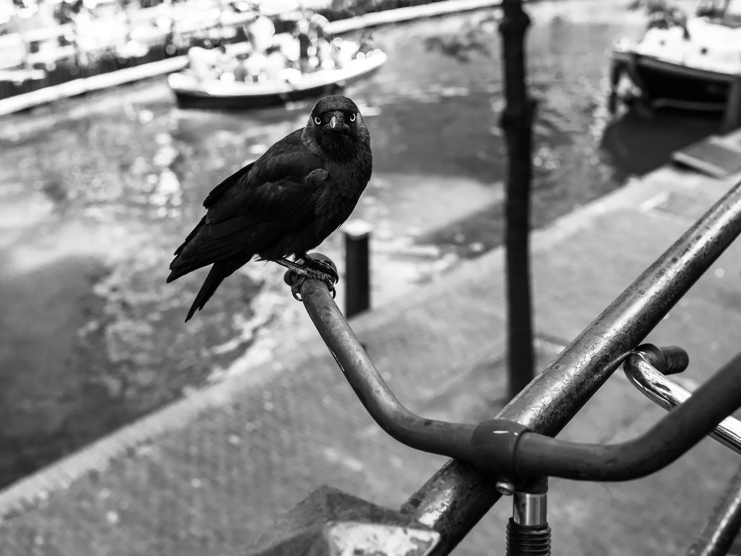 fokko muller street photography - 180512 - 011.jpg