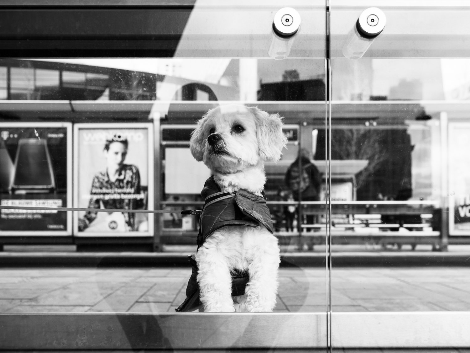 Fokko Muller - 190323 - 002 - kopie.jpg