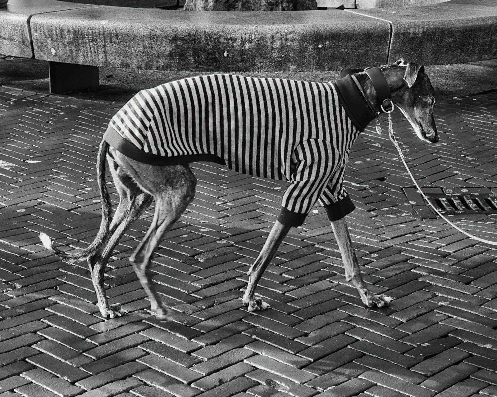 Fokko Muller Utrecht 2025-01-25 06 A .jpg